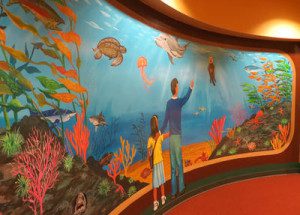 Mural Brings the Ocean to the Library