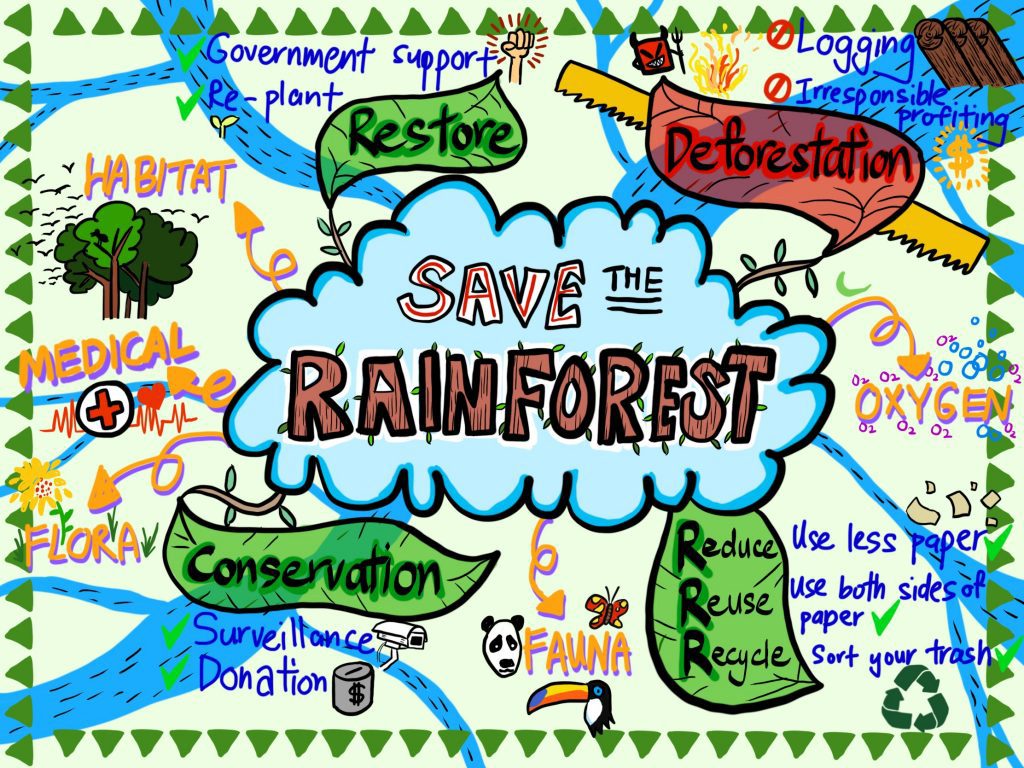 save the rainforest Image1-1-1024x768